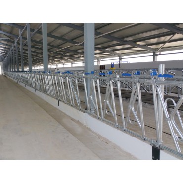 Büyükbaş Yemlik Kili...